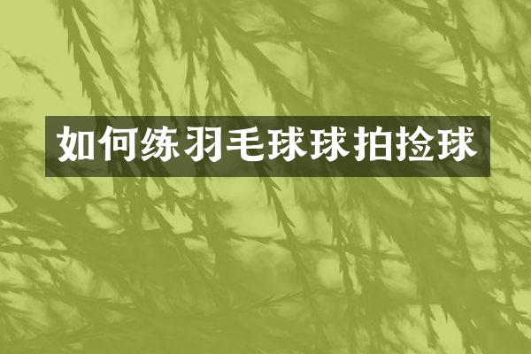 如何练羽毛球球拍捡球