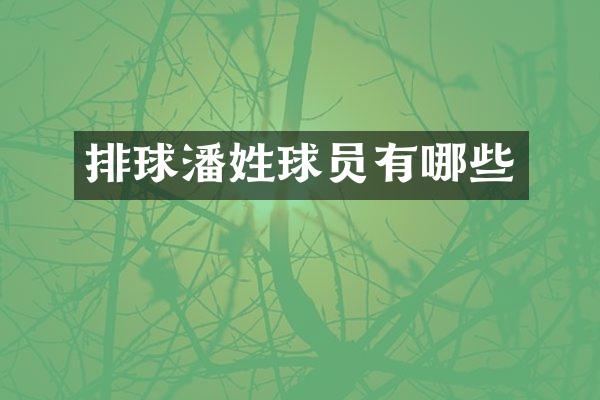 排球潘姓球员有哪些