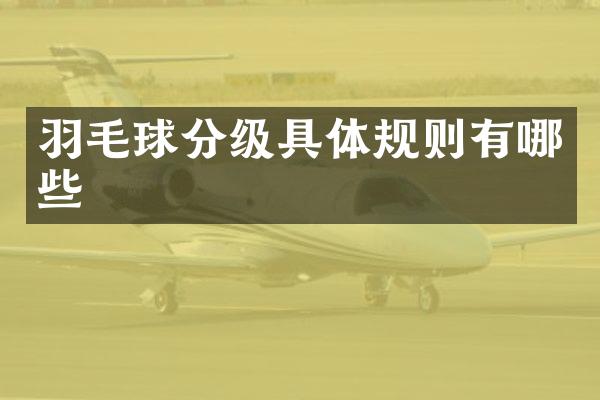 羽毛球分级具体规则有哪些