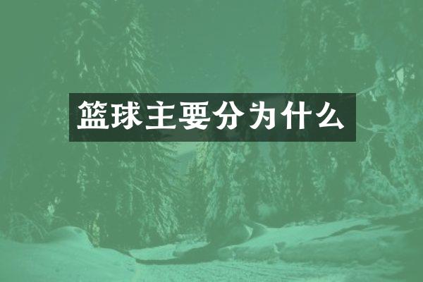 篮球主要分为什么