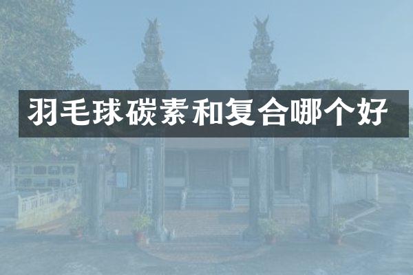 羽毛球碳素和复合哪个好