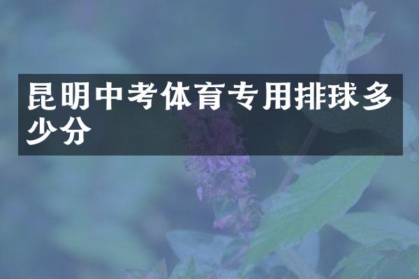 昆明中考体育专用排球多少分