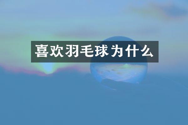 喜欢羽毛球为什么