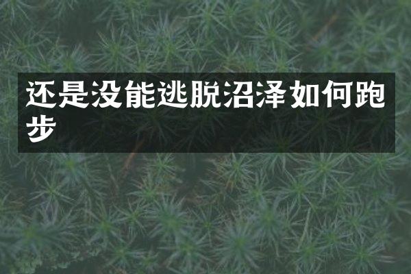还是没能逃脱沼泽如何跑步