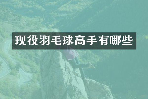现役羽毛球高手有哪些