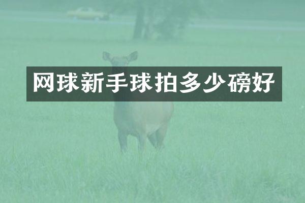 网球新手球拍多少磅好