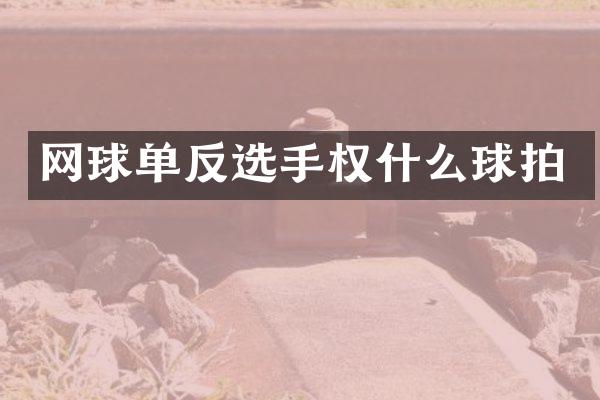 网球单反选手权什么球拍