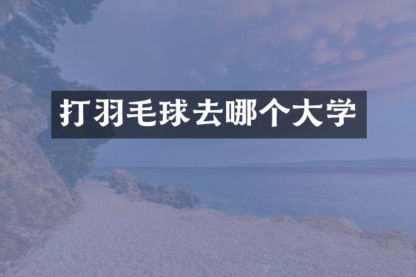 打羽毛球去哪个大学