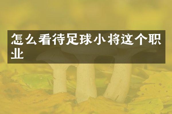 怎么看待足球小将这个职业