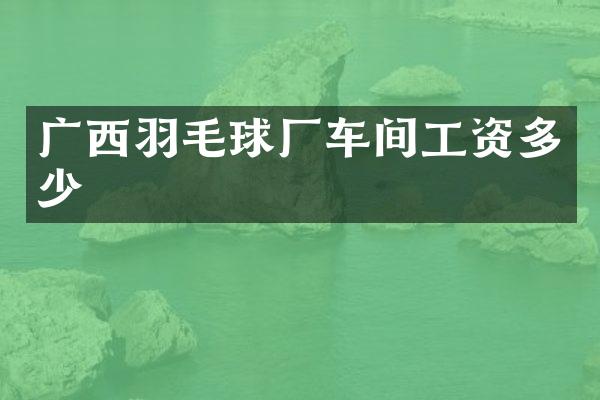 广西羽毛球厂车间工资多少