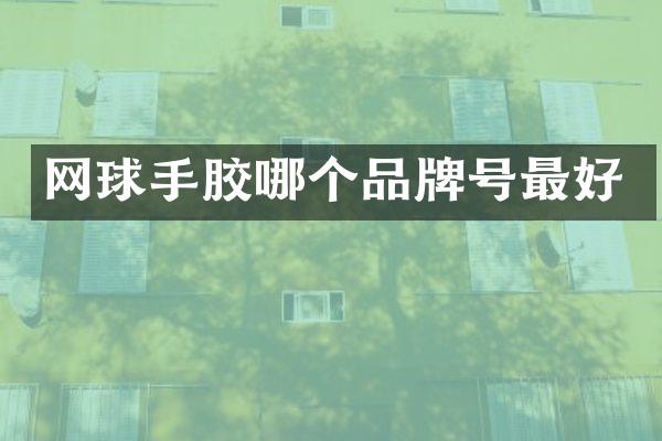 网球手胶哪个品牌号最好