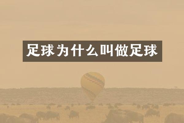 足球为什么叫做足球