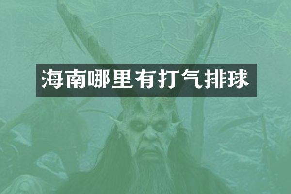 海南哪里有打气排球