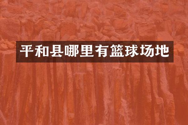 平和县哪里有篮球场地