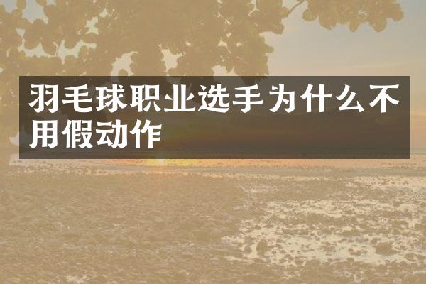 羽毛球职业选手为什么不用假动作