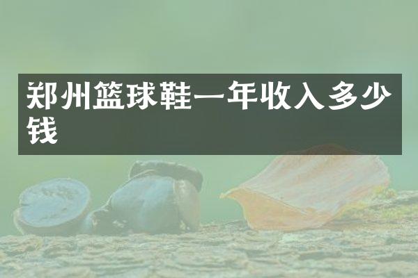 郑州篮球鞋一年收入多少钱