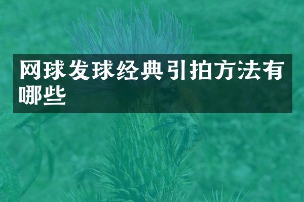 网球发球经典引拍方法有哪些