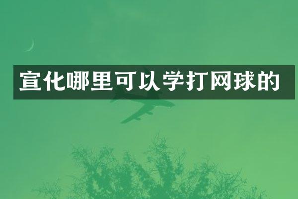 宣化哪里可以学打网球的