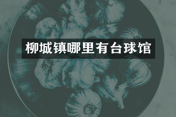 柳城镇哪里有台球馆
