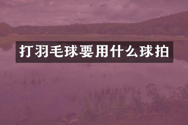 打羽毛球要用什么球拍