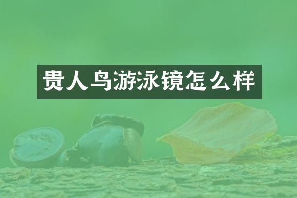 贵人鸟游泳镜怎么样