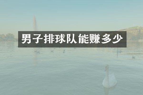 男子排球队能赚多少