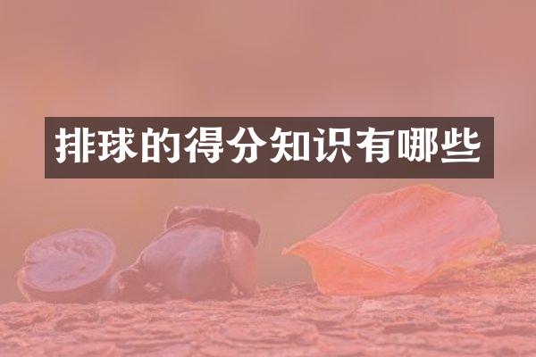 排球的得分知识有哪些