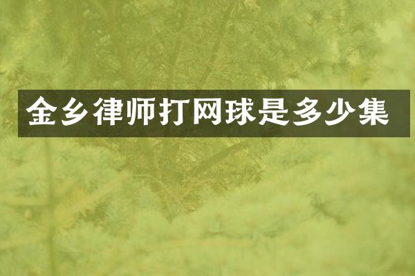金乡律师打网球是多少集