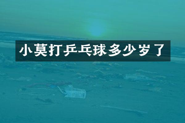 打乒乓球了