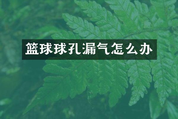 篮球球孔漏气怎么办