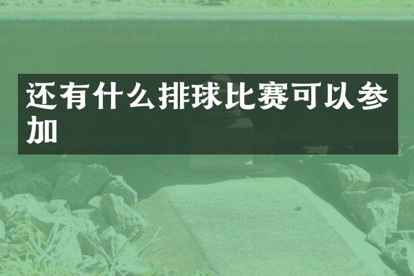 还有什么排球比赛可以参加