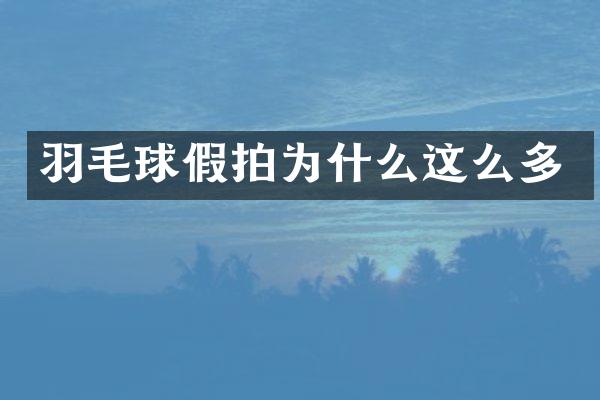 羽毛球假拍为什么这么多