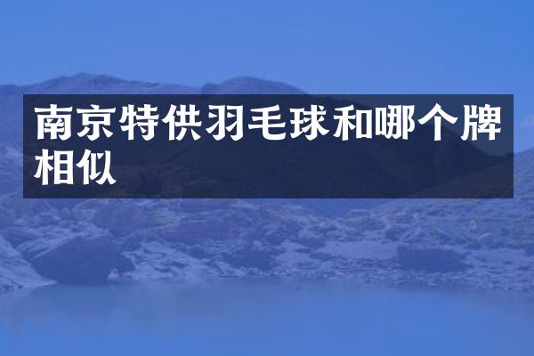南京特供羽毛球和哪个牌相似