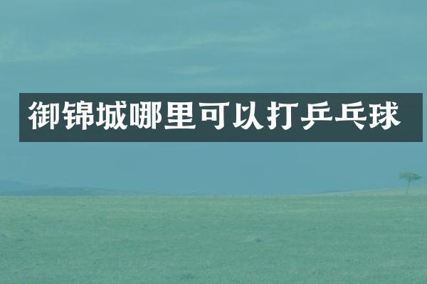 御锦城哪里可以打乒乓球