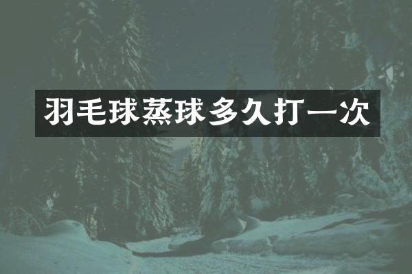 羽毛球蒸球多久打一次