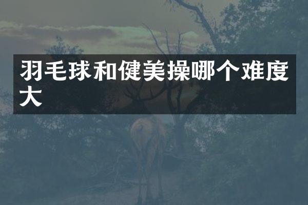 羽毛球和健美操哪个难度大