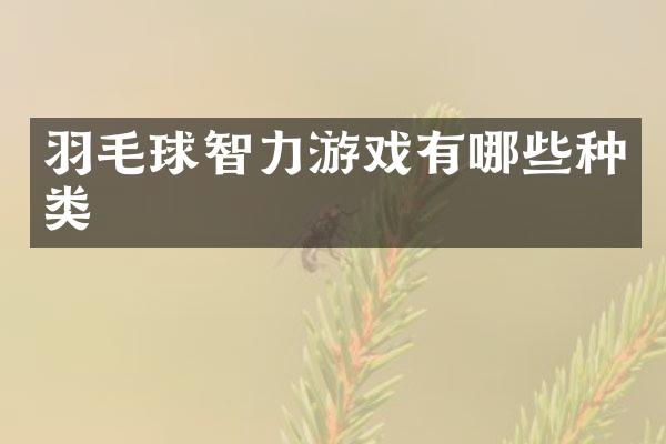 羽毛球智力游戏有哪些种类