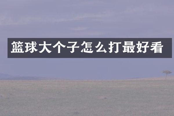 篮球大个子怎么打最好看