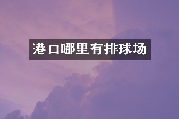 港口哪里有排球场