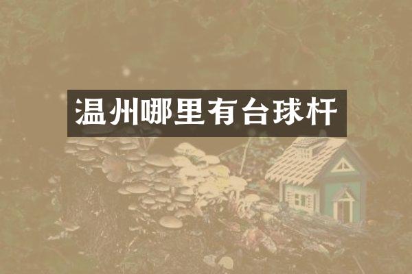 温州哪里有台球杆