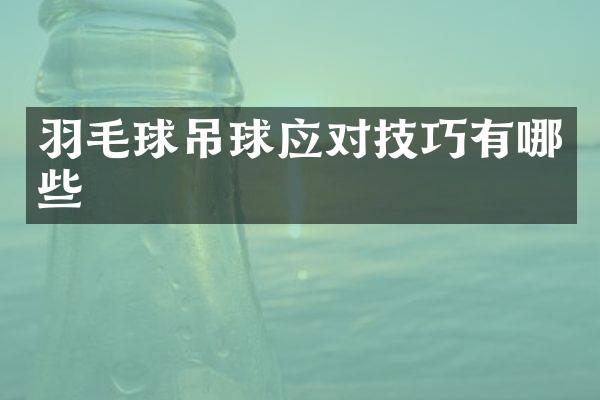 羽毛球吊球应对技巧有哪些