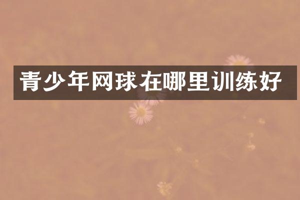 青少年网球在哪里训练好
