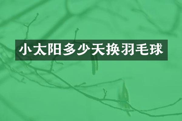 小太阳多少天换羽毛球
