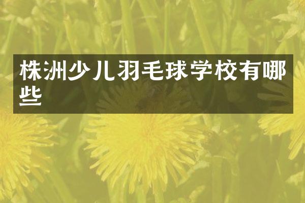 株洲少儿羽毛球学校有哪些
