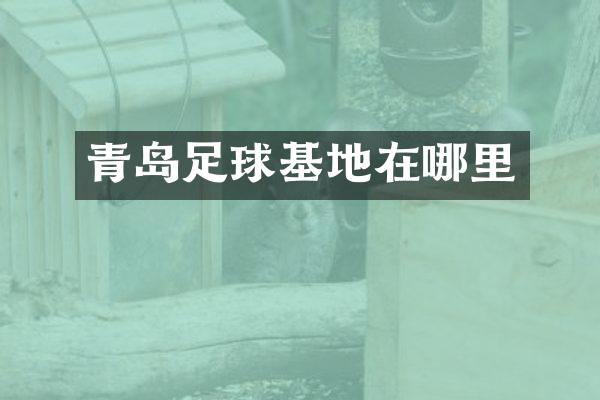青岛足球基地在哪里