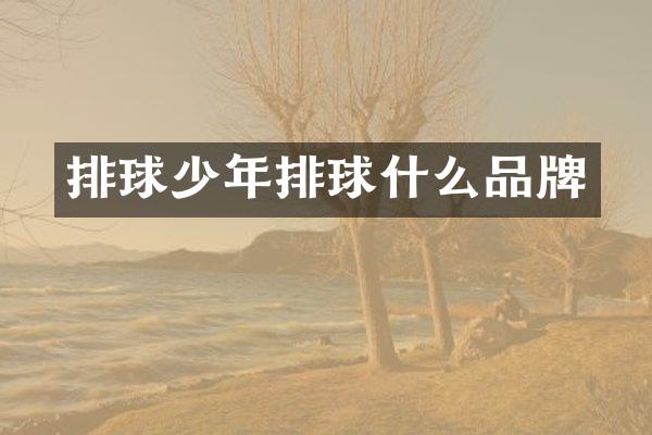 排球少年排球什么品牌