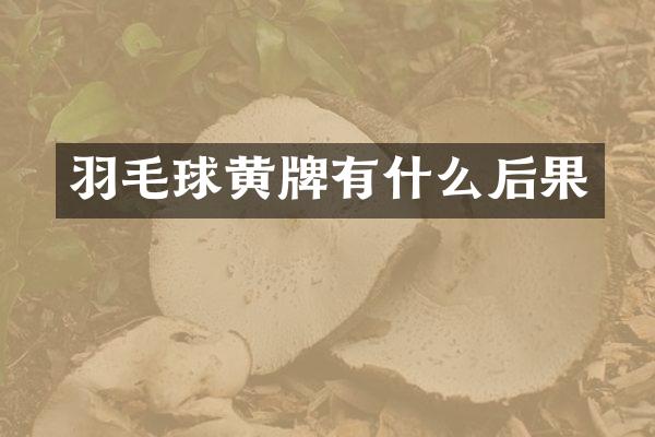 羽毛球黄牌有什么后果