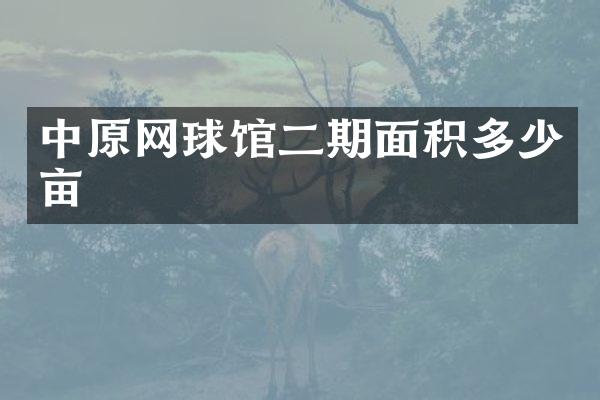 中原网球馆二期面积多少亩