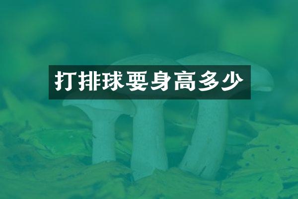 打排球要身高多少