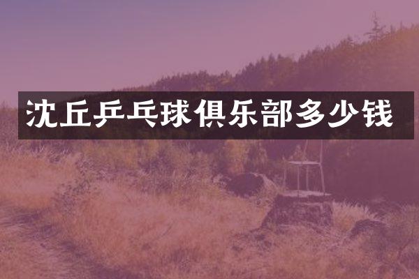 沈丘乒乓球俱乐部多少钱